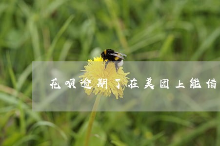 花呗逾期了在美团上能借钱吗 花呗逾期了在美团上能借钱吗