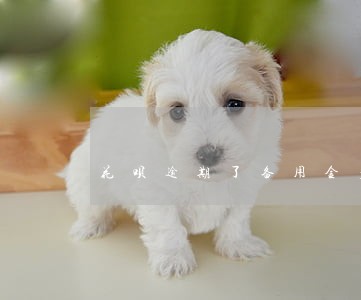 花呗逾期了备用金多久能恢复使用 花呗逾期了备用金多久能恢复使用