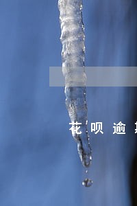 花呗逾期了备用金暂停使用 花呗逾期了备用金暂停使用