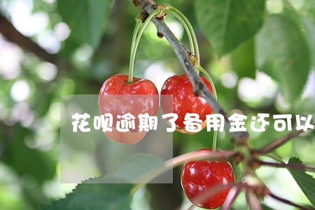 花呗逾期了备用金还可以用 花呗逾期了备用金还可以用