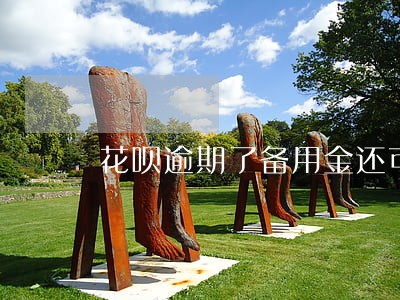 花呗逾期了备用金还可以用嘛 花呗逾期了备用金还可以用嘛