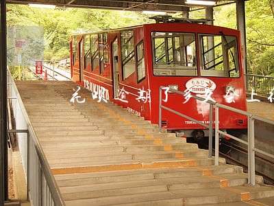 花呗逾期了多久会上征信 花呗逾期了多久会上征信