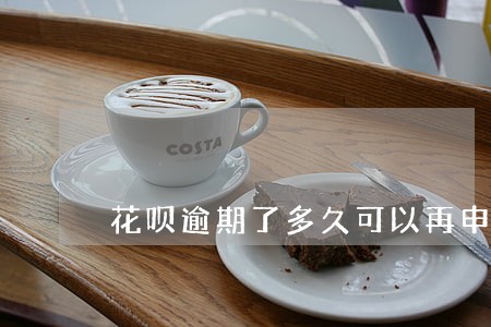 花呗逾期了多久可以再申请