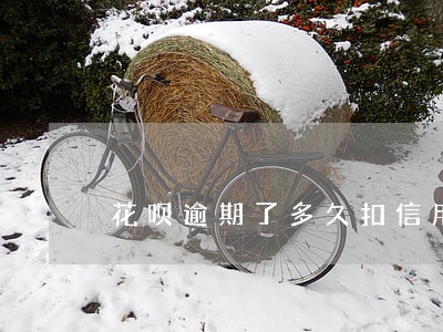 花呗逾期了多久扣信用分 花呗逾期了多久扣信用分