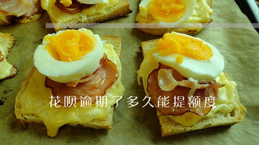 花呗逾期了多久能提额度 花呗逾期了多久能提额度