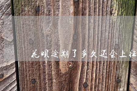 花呗逾期了多久还会上征信吗 花呗逾期了多久还会上征信吗