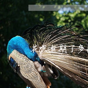 花呗逾期了多长时间不还 花呗逾期了多长时间不还