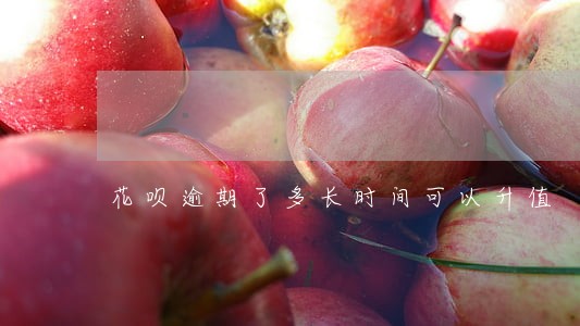 花呗逾期了多长时间可以升值 花呗逾期了多长时间可以升值
