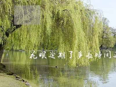 花呗逾期了多长时间还能再用 花呗逾期了多长时间还能再用
