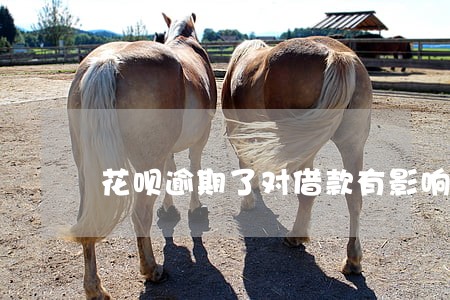 花呗逾期了对借款有影响么 花呗逾期了对借款有影响么