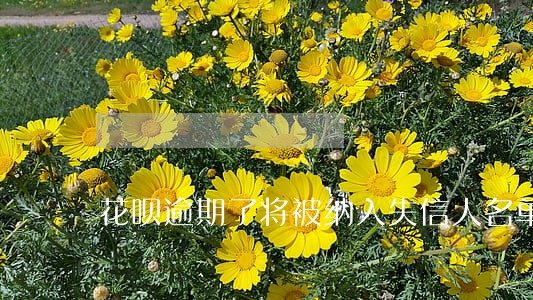 花呗逾期了将被纳入失信人名单 花呗逾期了将被纳入失信人名单