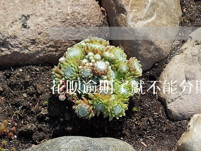 花呗逾期了就不能分期了吗 花呗逾期了就不能分期了吗