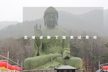 花呗逾期了就有记录吗