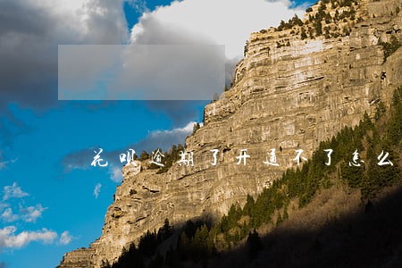 花呗逾期了开通不了怎么恢复 花呗逾期了开通不了怎么恢复