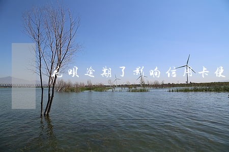 花呗逾期了影响信用卡使用吗 花呗逾期了影响信用卡使用吗