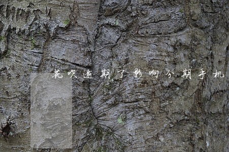 花呗逾期了影响分期手机吗 花呗逾期了影响分期手机吗