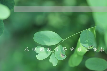 花呗逾期了影响银行贷款吗 花呗逾期了影响银行贷款吗