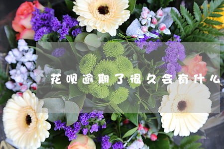 花呗逾期了很久会有什么后果 花呗逾期了很久会有什么后果