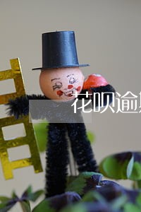 花呗逾期了怎么买车 花呗逾期了怎么买车