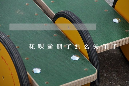 花呗逾期了怎么关闭了 花呗逾期了怎么关闭了