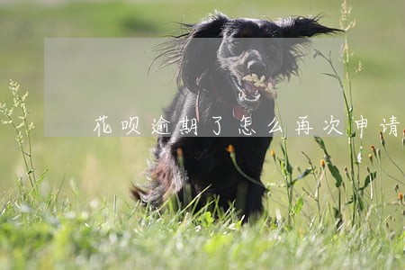 花呗逾期了怎么再次申请开通花呗 花呗逾期了怎么再次申请开通花呗