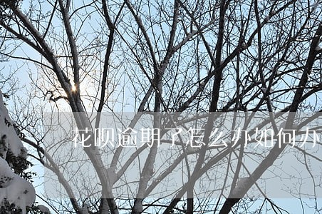 花呗逾期了怎么办如何办理 花呗逾期了怎么办如何办理