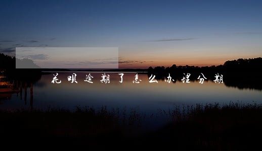 花呗逾期了怎么办理分期