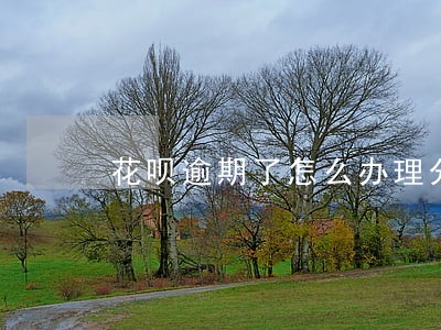 花呗逾期了怎么办理分期手续费 花呗逾期了怎么办理分期手续费