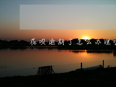 花呗逾期了怎么办理呢