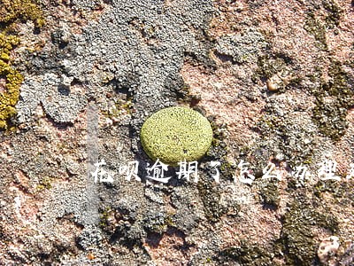 花呗逾期了怎么办理延长还款日 花呗逾期了怎么办理延长还款日