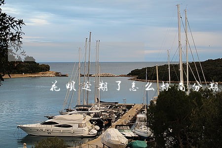 花呗逾期了怎么协商分期付款 花呗逾期了怎么协商分期付款