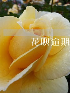 花呗逾期了怎么协商还本金