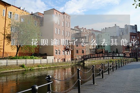 花呗逾期了怎么去其他平台借 花呗逾期了怎么去其他平台借