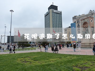 花呗逾期了怎么取消自动扣款