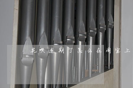 花呗逾期了怎么在淘宝上买东西 花呗逾期了怎么在淘宝上买东西