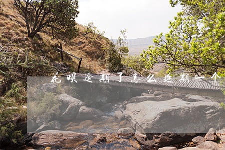 花呗逾期了怎么延期一个月 花呗逾期了怎么延期一个月