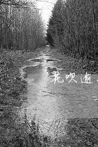 花呗逾期了怎么弄可用额度 花呗逾期了怎么弄可用额度