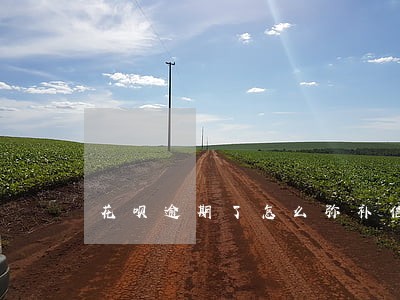花呗逾期了怎么弥补信用 花呗逾期了怎么弥补信用