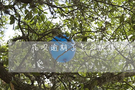 花呗逾期了怎么快速恢复芝麻分 花呗逾期了怎么快速恢复芝麻分