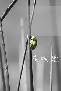 花呗逾期了怎么快速恢复额度 花呗逾期了怎么快速恢复额度