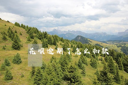 花呗逾期了怎么扣款 花呗逾期了怎么扣款