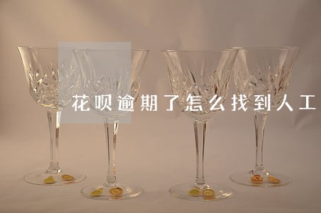 花呗逾期了怎么找到人工客服 花呗逾期了怎么找到人工客服