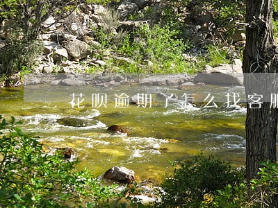 花呗逾期了怎么找客服 花呗逾期了怎么找客服