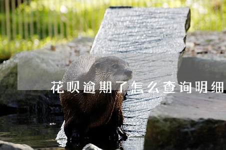 花呗逾期了怎么查询明细 花呗逾期了怎么查询明细