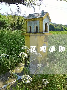 花呗逾期了怎么查询还款情况 花呗逾期了怎么查询还款情况