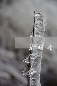 花呗逾期了怎么样才能提升额度 花呗逾期了怎么样才能提升额度