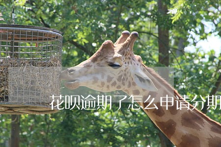 花呗逾期了怎么申请分期付款 花呗逾期了怎么申请分期付款