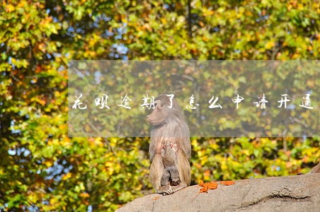 花呗逾期了怎么申请开通