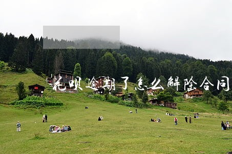 花呗逾期了怎么解除合同 花呗逾期了怎么解除合同