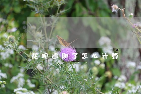 花呗逾期了怎么计算 花呗逾期了怎么计算